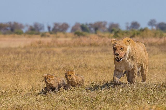 020 Botswana, Okavango Delta.jpg